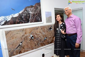 Photography Exhibition