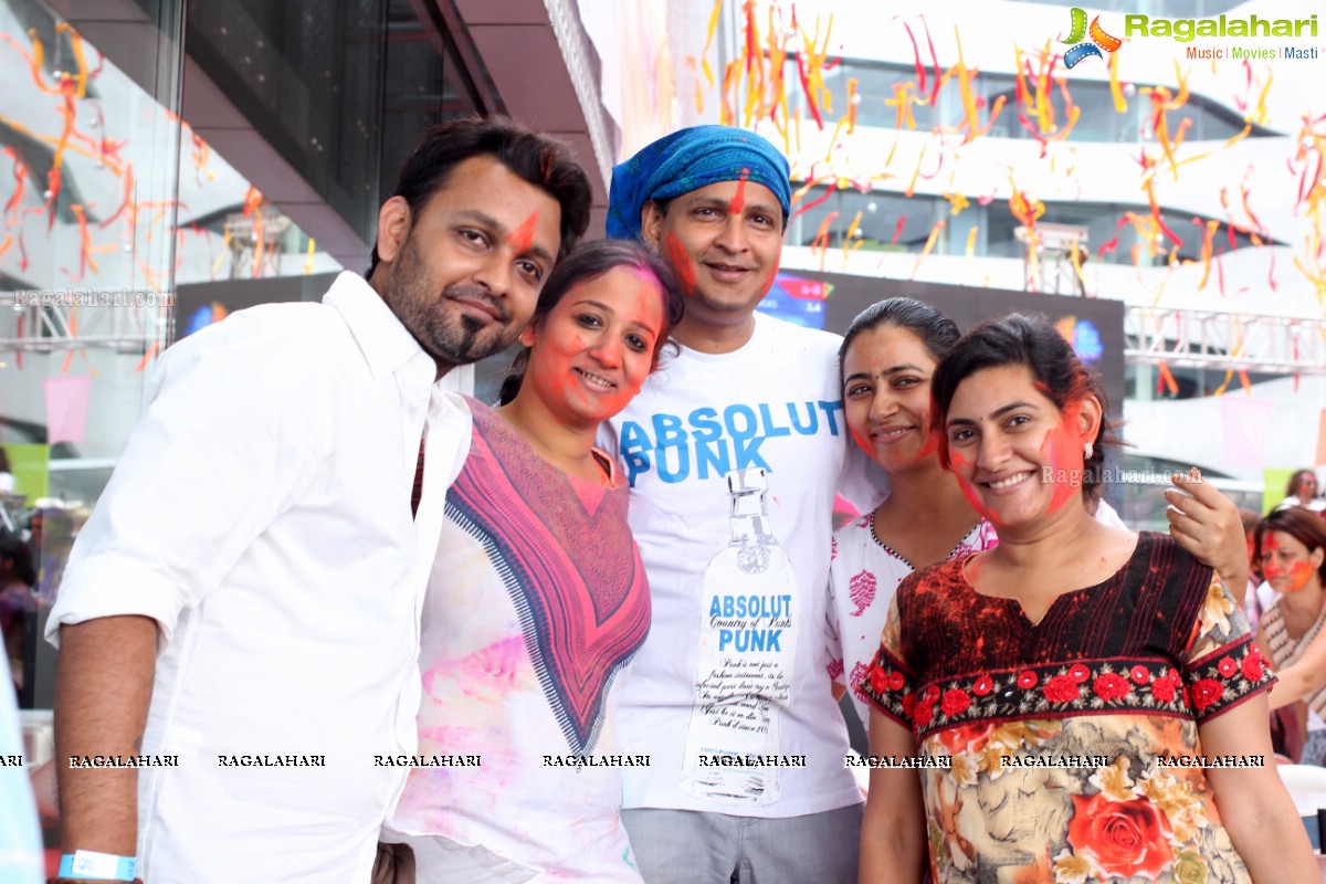 Pitars Holi Hyderabad 2015