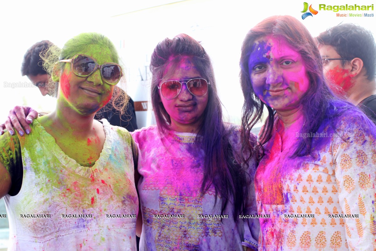 Pitars Holi Hyderabad 2015