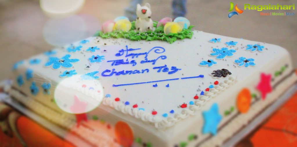 Charan Tej Birthday Celebrations at Guntur