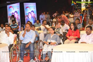 Oopiri Physically Challenged People