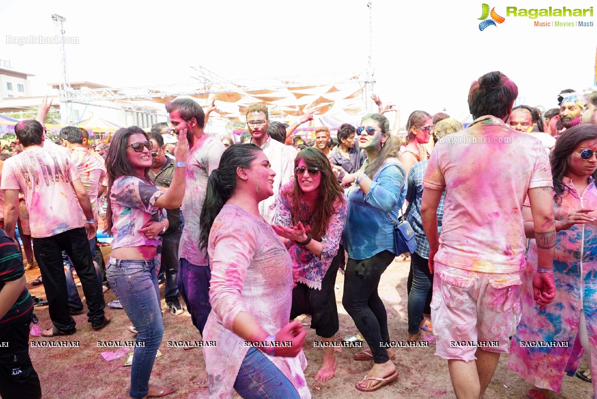 Bang Bang Holi Fest 2016 at Novotel, Hyderabad