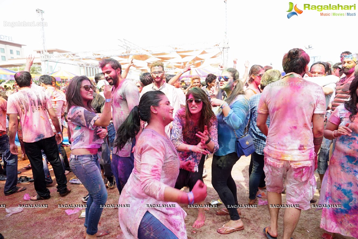 Bang Bang Holi Fest 2016 at Novotel, Hyderabad