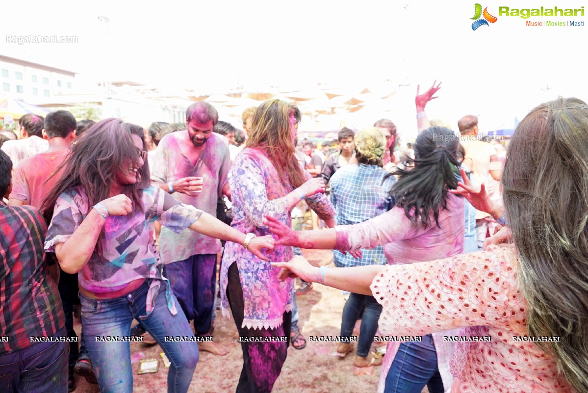 Bang Bang Holi Fest 2016 at Novotel, Hyderabad