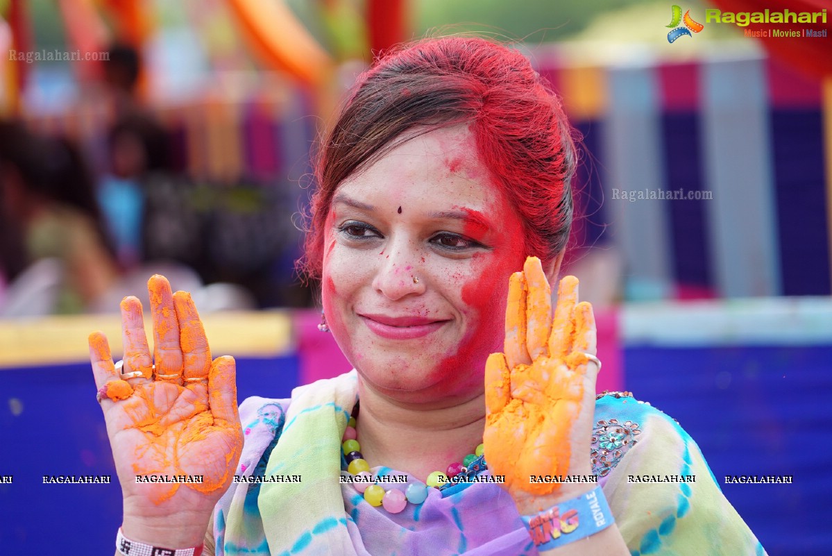 Bang Bang Holi Fest 2016 at Novotel, Hyderabad