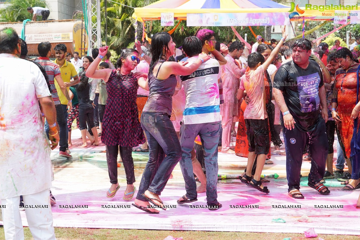 Bang Bang Holi Fest 2016 at Novotel, Hyderabad