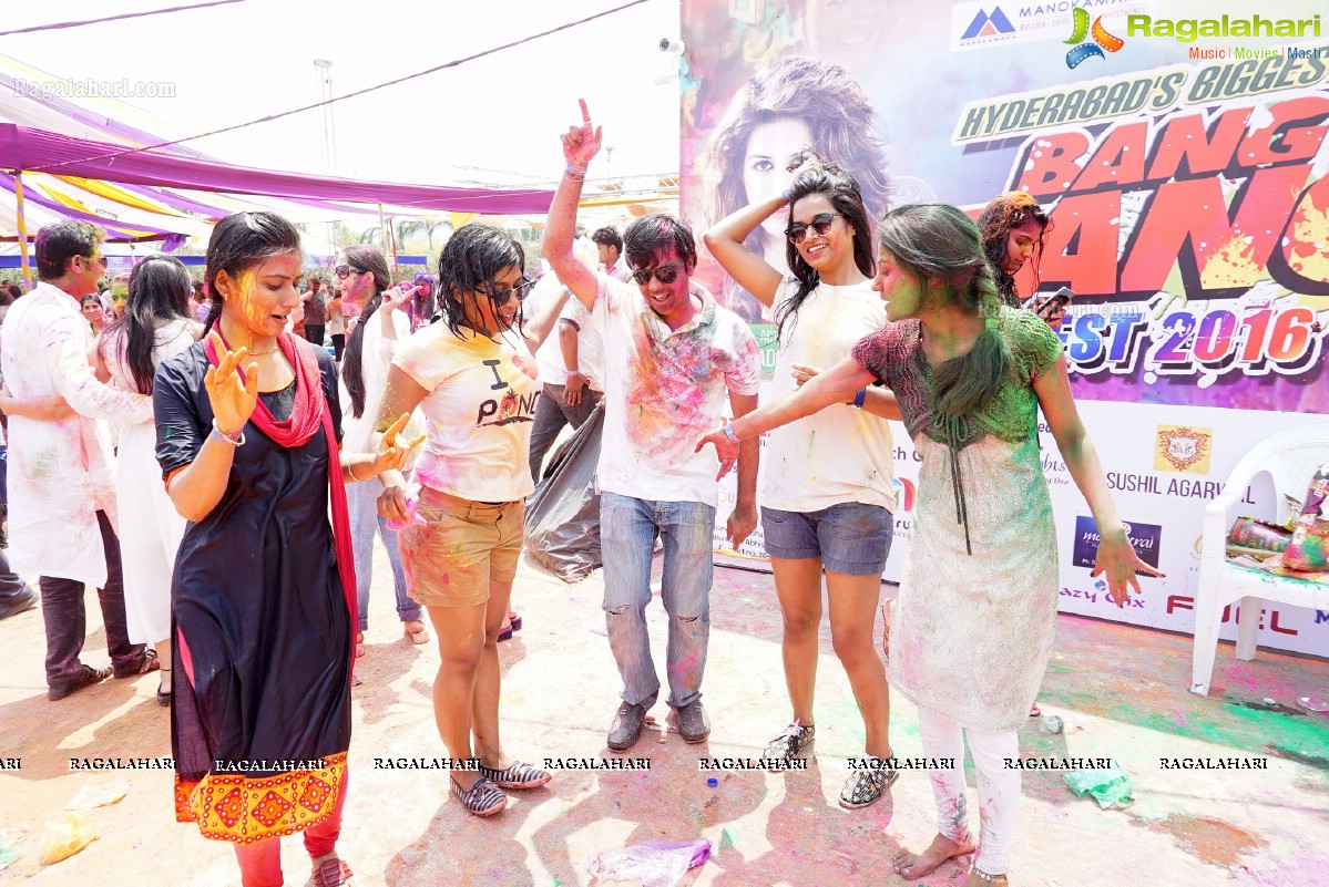 Bang Bang Holi Fest 2016 at Novotel, Hyderabad