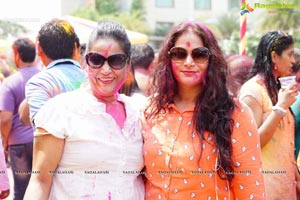 Bang Bang Holi Fest 2016