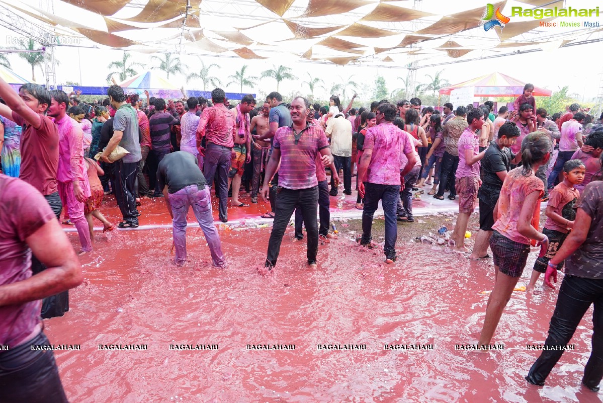 Bang Bang Holi Fest 2016 at Novotel, Hyderabad