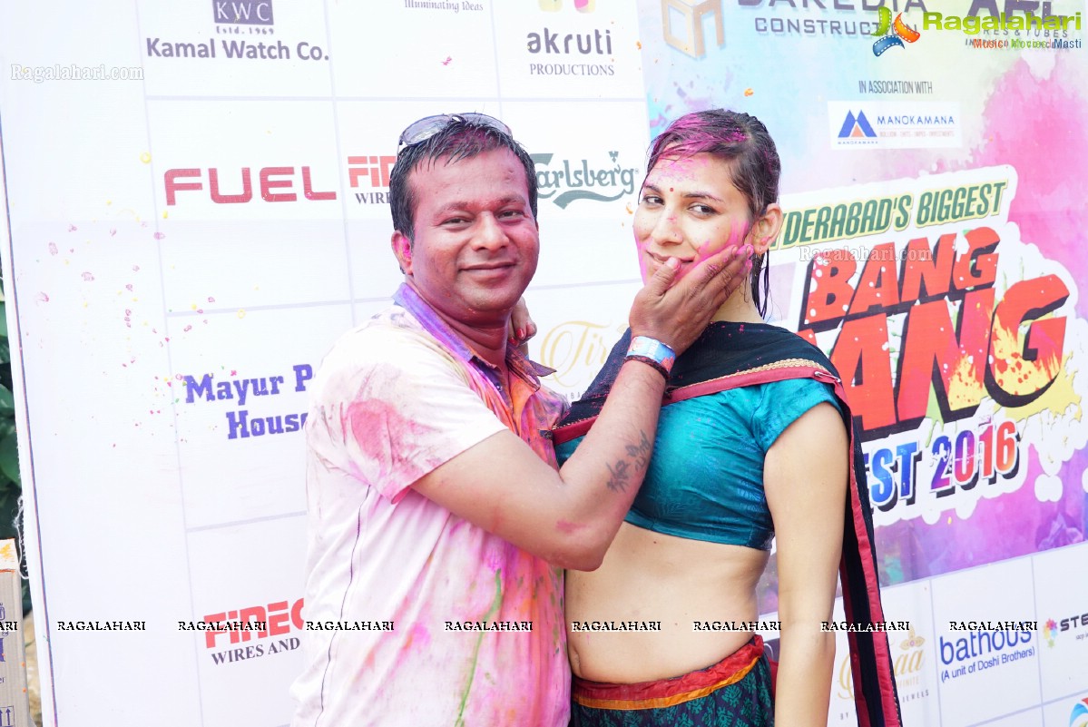 Bang Bang Holi Fest 2016 at Novotel, Hyderabad