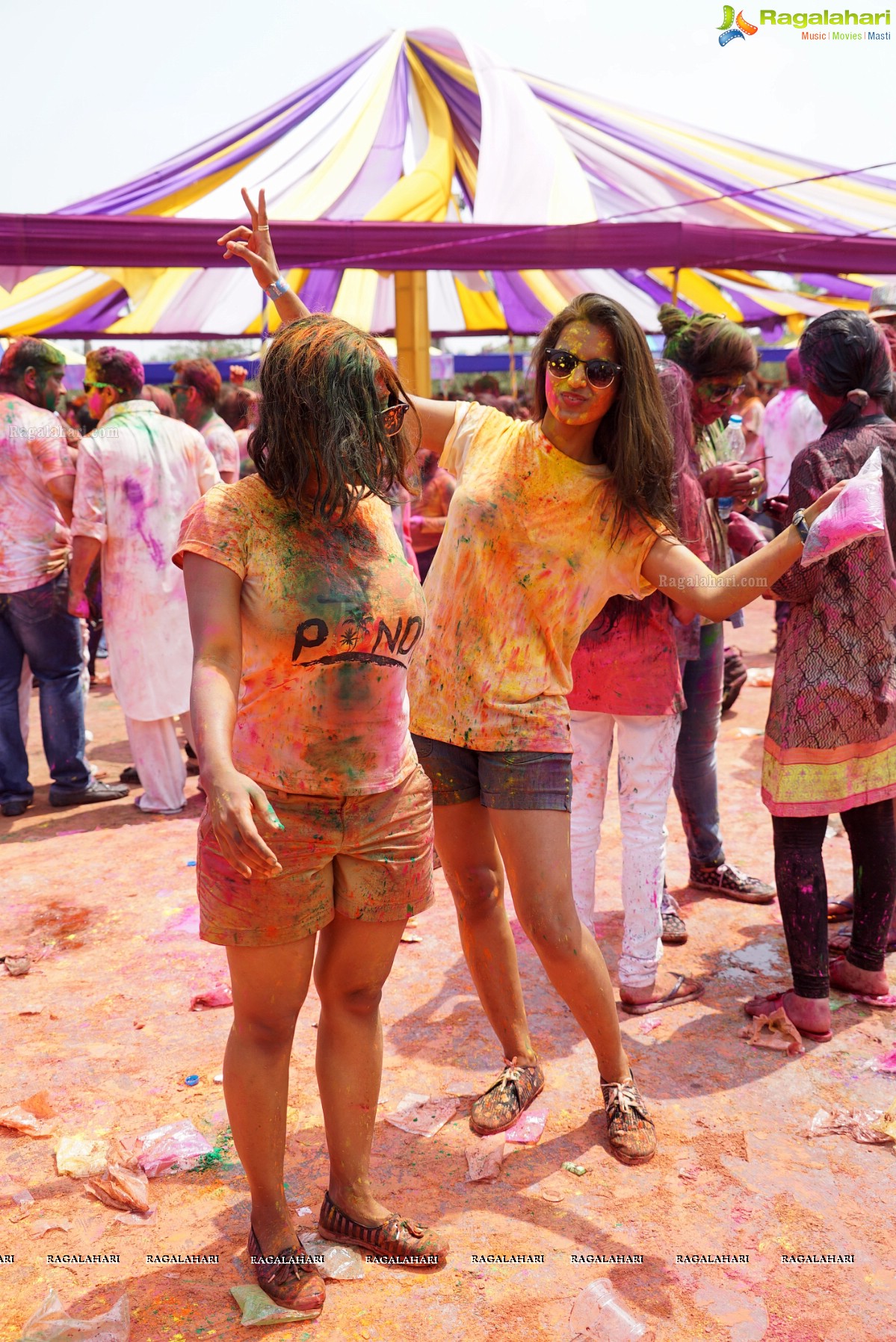 Bang Bang Holi Fest 2016 at Novotel, Hyderabad