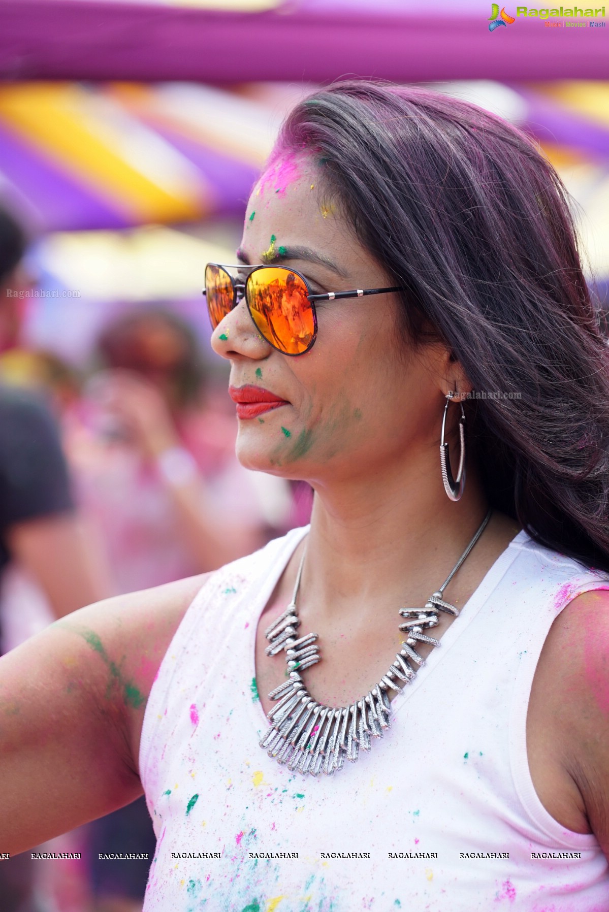 Bang Bang Holi Fest 2016 at Novotel, Hyderabad