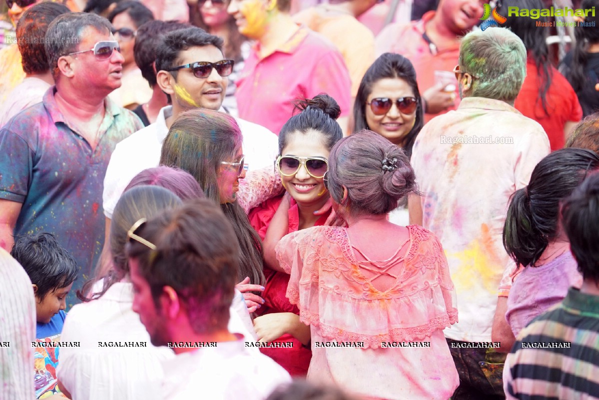 Bang Bang Holi Fest 2016 at Novotel, Hyderabad