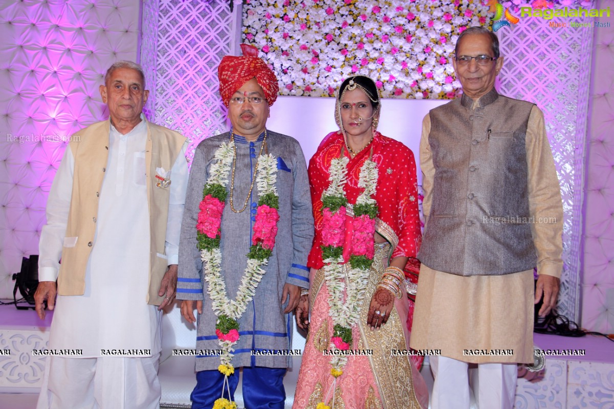 Pre Wedding Bash of Archana Jain - Organised by Renu - B L Bhandari at Dreamland Garden, Balamrai, Hyderabad