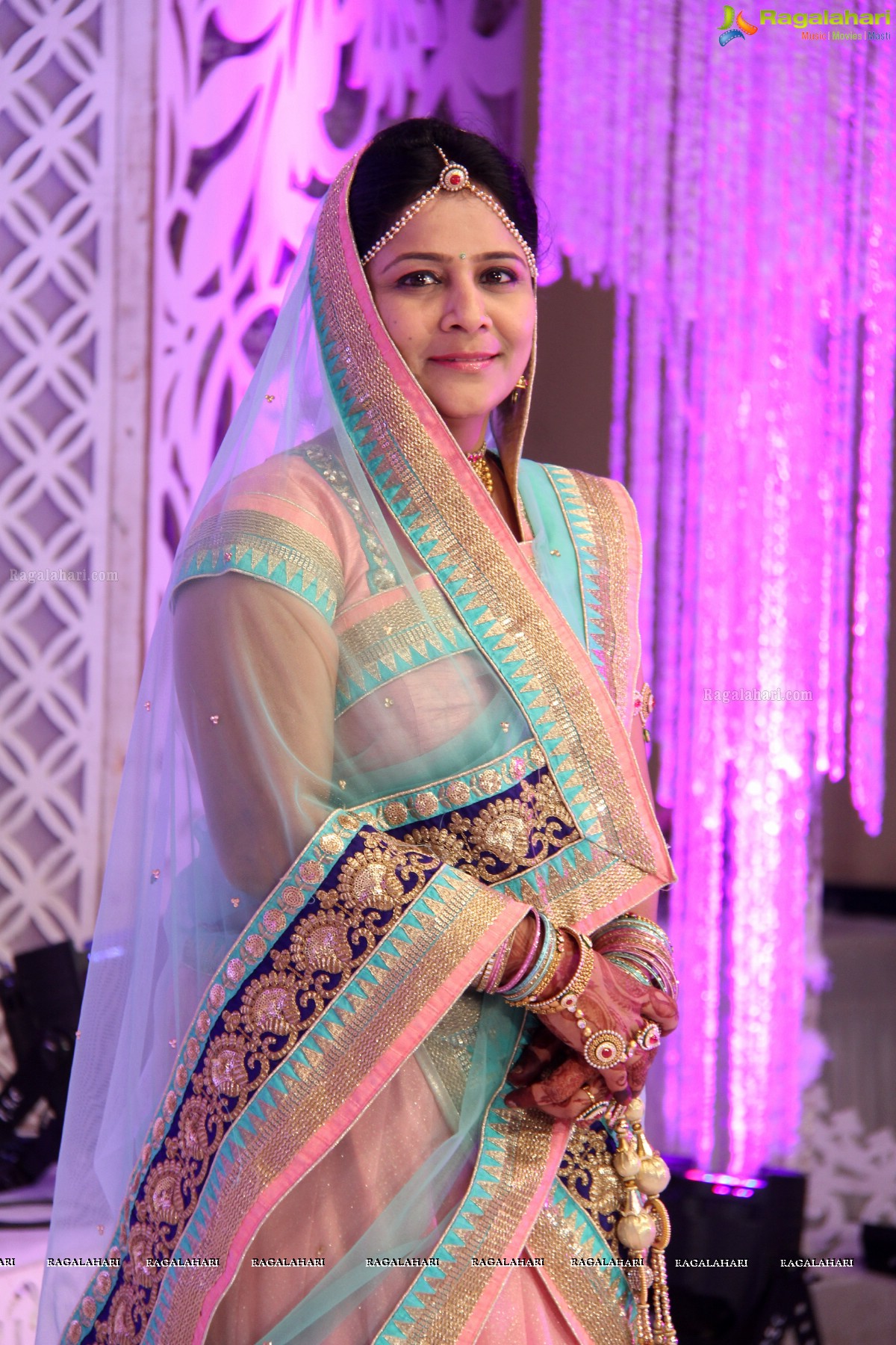 Pre Wedding Bash of Archana Jain - Organised by Renu - B L Bhandari at Dreamland Garden, Balamrai, Hyderabad