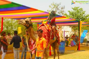 Holi Celebrations