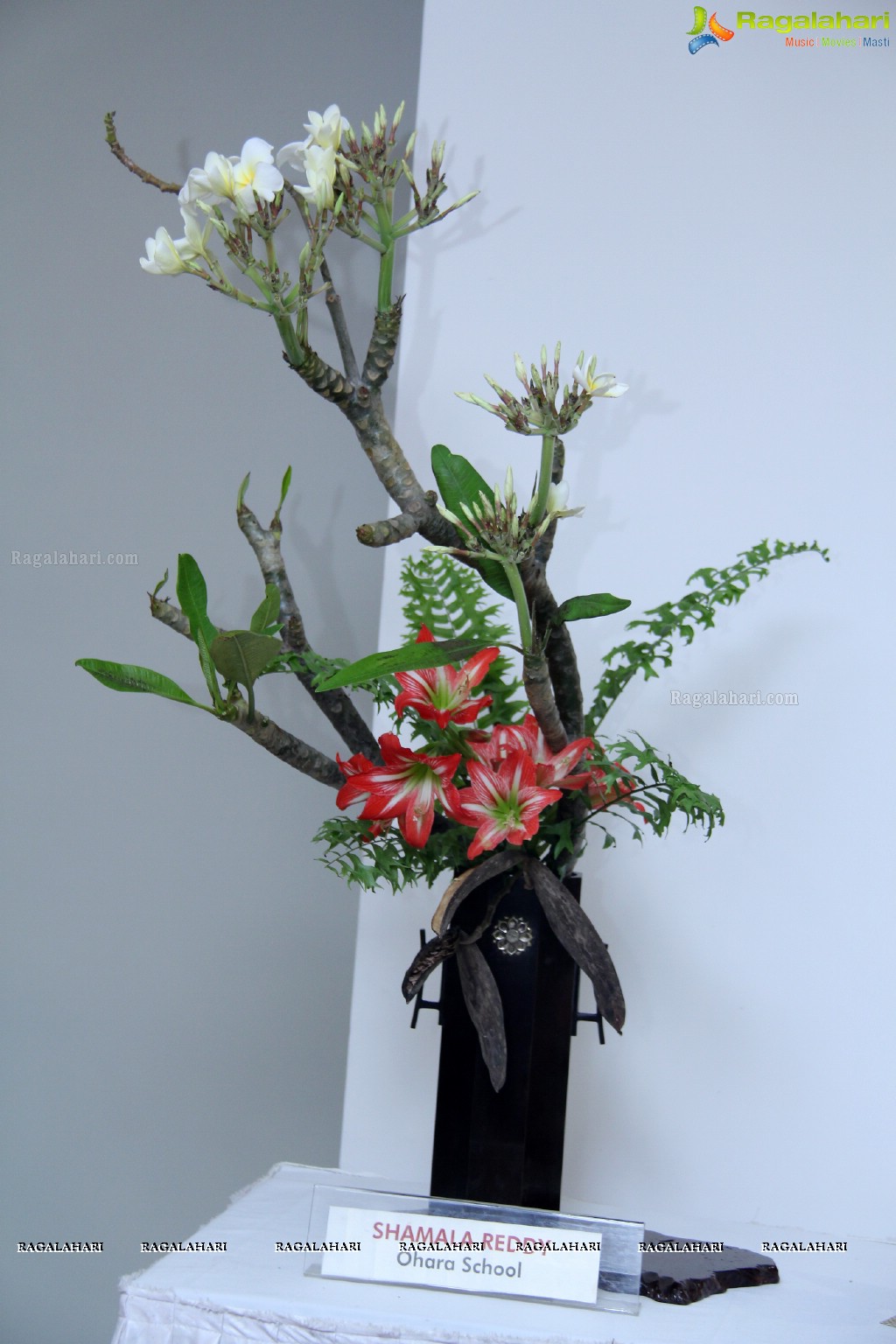 Ikebana Exhibition at DK Road, Hyderabad