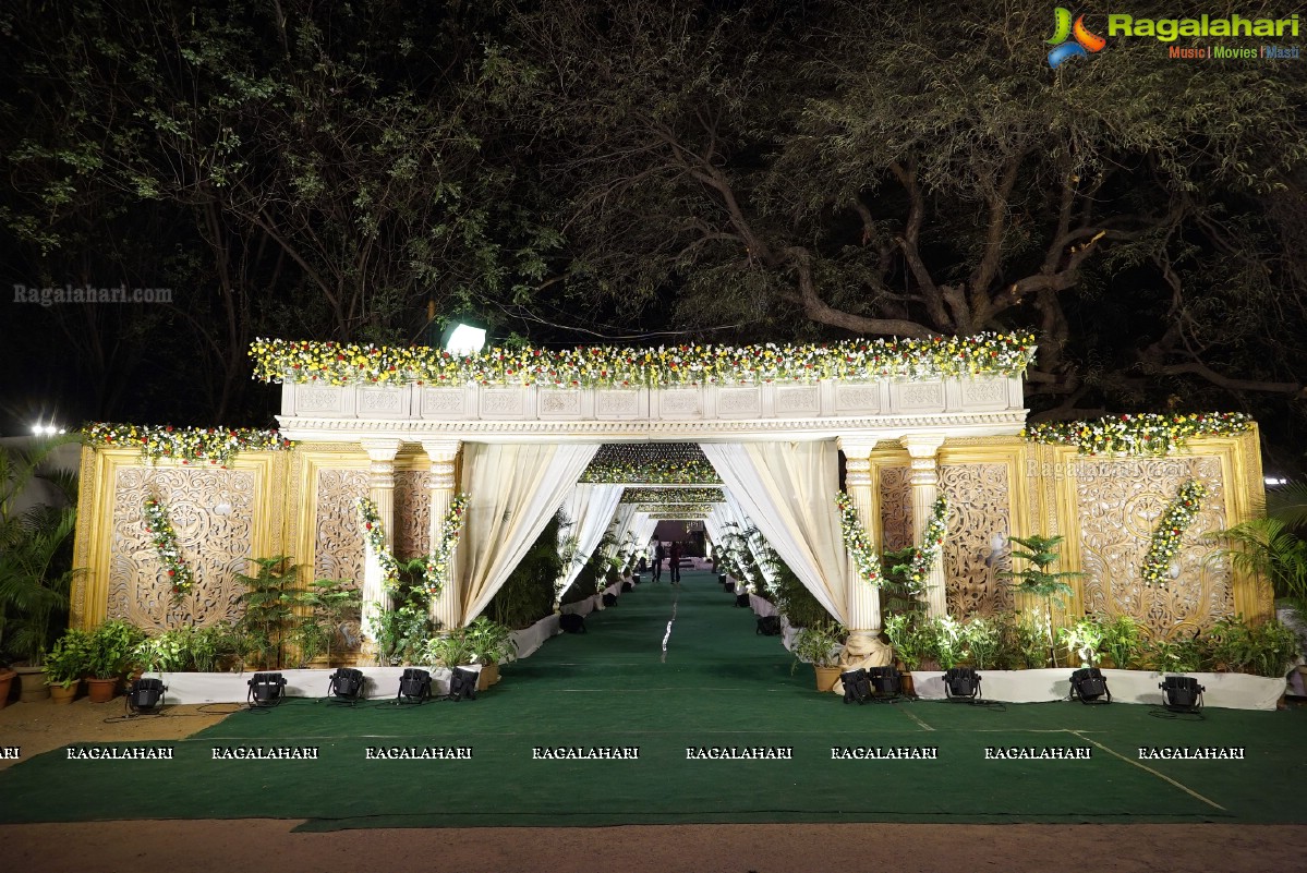 Grand Wedding Reception of Nikita Sharma & Ankit Sharma at Imperial Gardens 