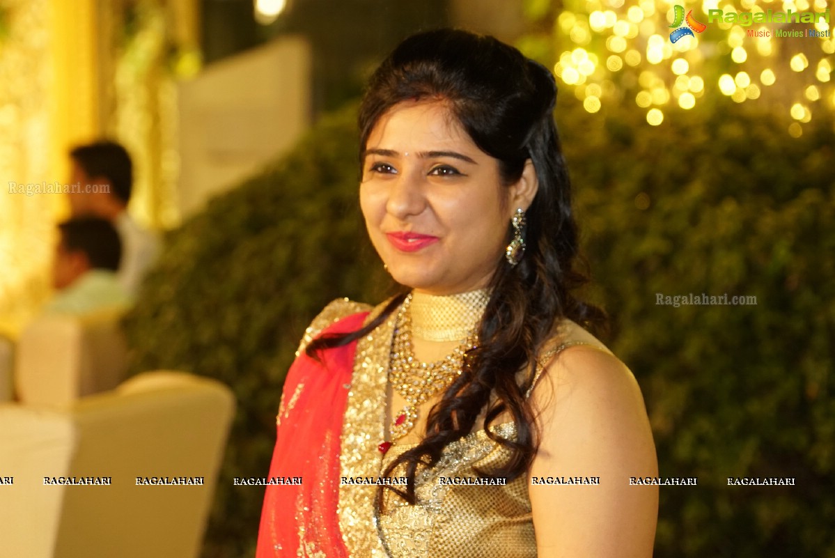 Grand Wedding Reception of Nikita Sharma & Ankit Sharma at Imperial Gardens 