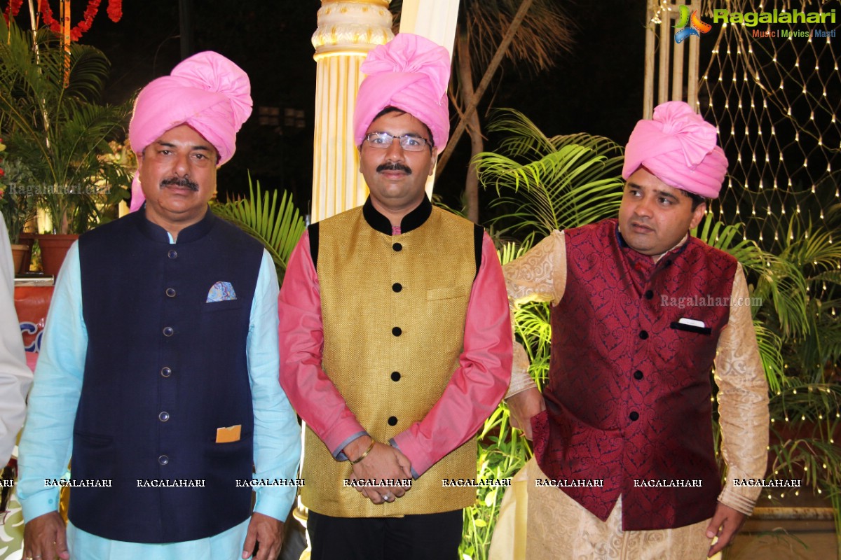 Grand Wedding Reception of Nikita Sharma & Ankit Sharma at Imperial Gardens 