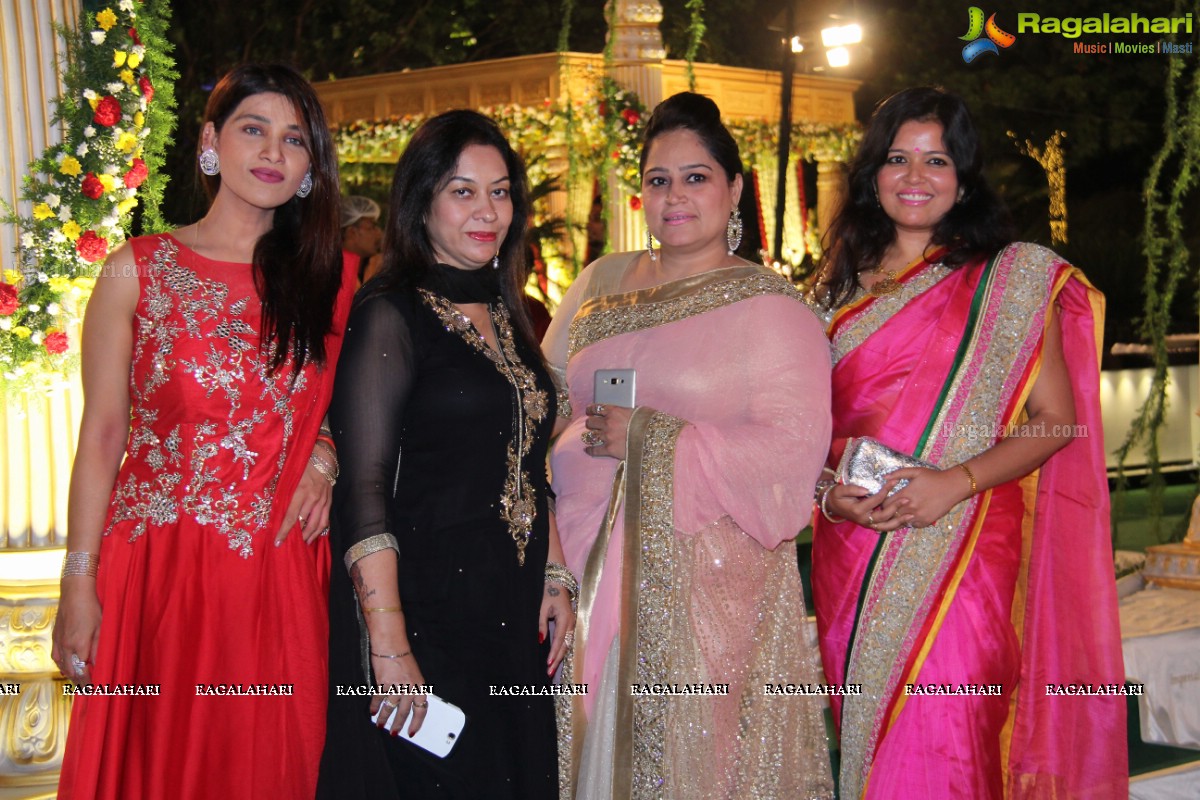 Grand Wedding Reception of Nikita Sharma & Ankit Sharma at Imperial Gardens 