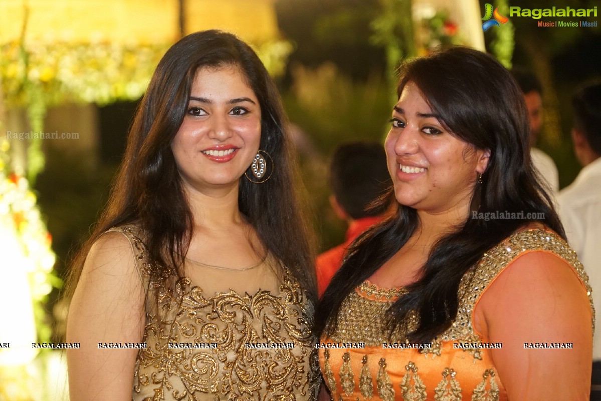 Grand Wedding Reception of Nikita Sharma & Ankit Sharma at Imperial Gardens 