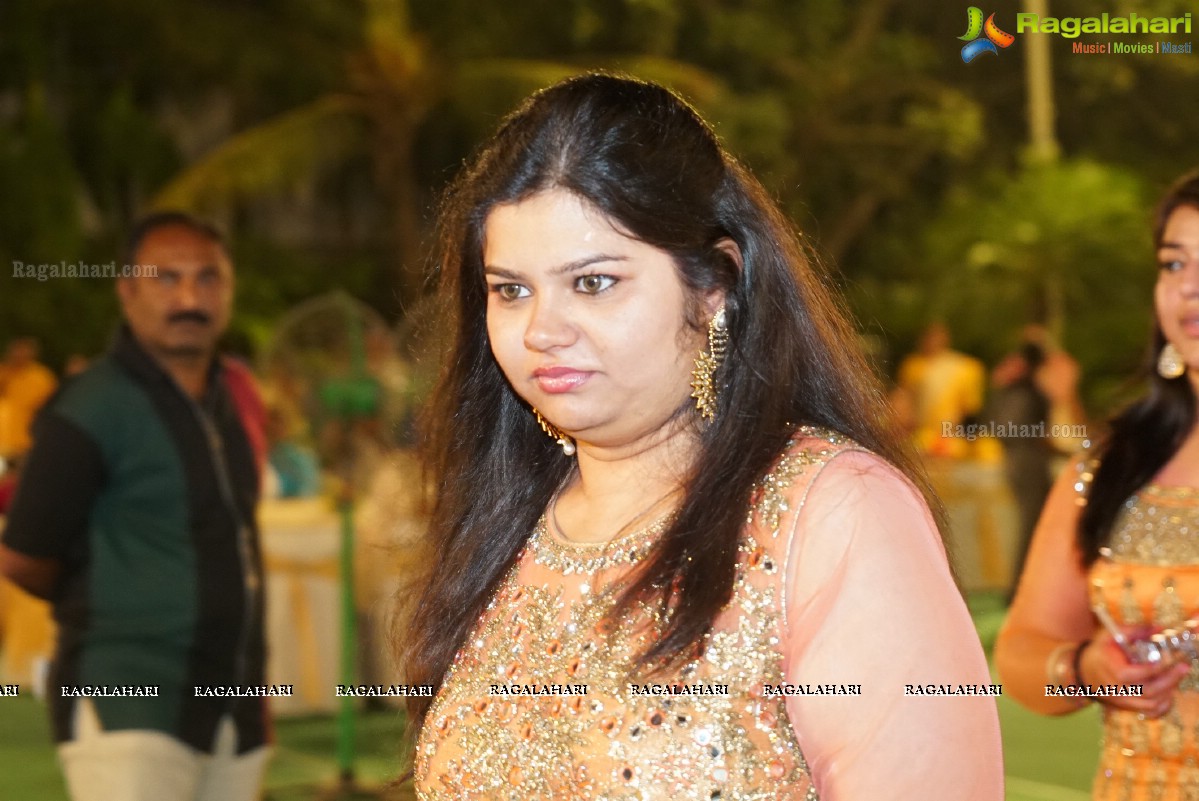 Grand Wedding Reception of Nikita Sharma & Ankit Sharma at Imperial Gardens 