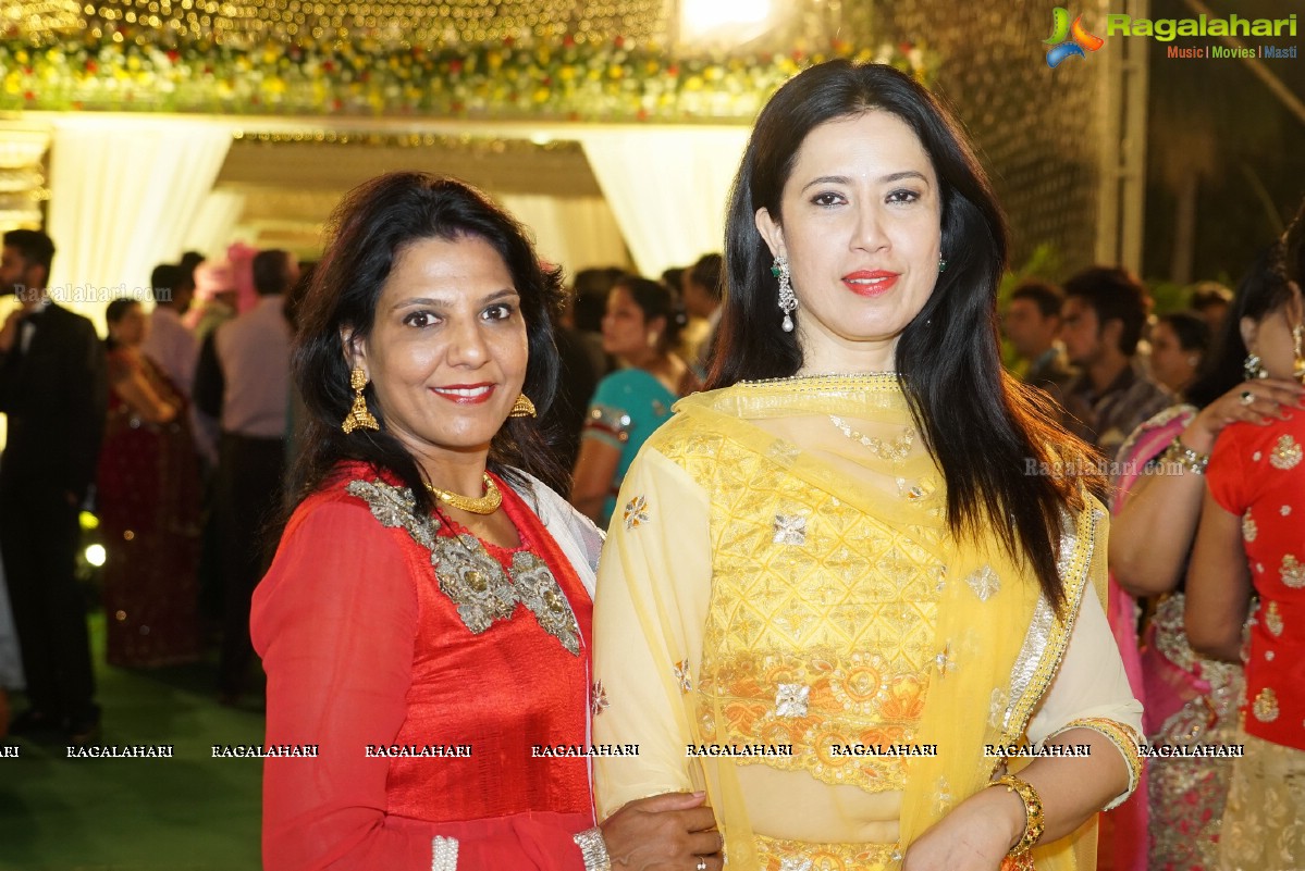 Grand Wedding Reception of Nikita Sharma & Ankit Sharma at Imperial Gardens 