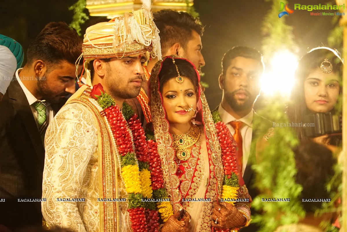 Grand Wedding Reception of Nikita Sharma & Ankit Sharma at Imperial Gardens 