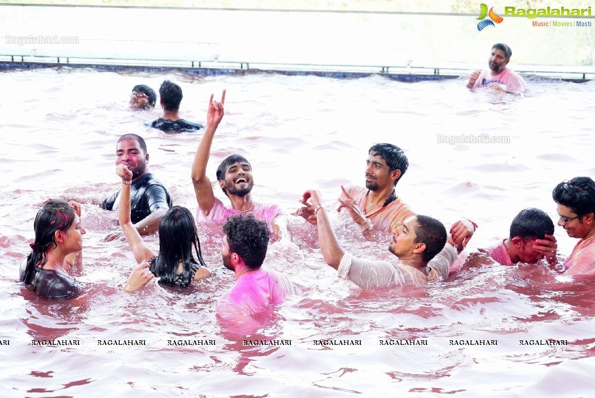 Rang 2016 at Aqua, The Park, Hyderabad