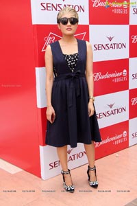 Sensation Press Meet Hyderabad