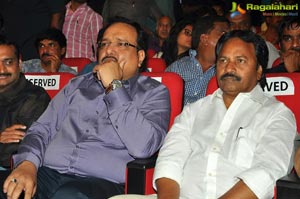 Katamarayudu Pre-Release Function