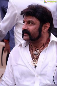 Nandamuri Balakrishna-Puri Jagannadh