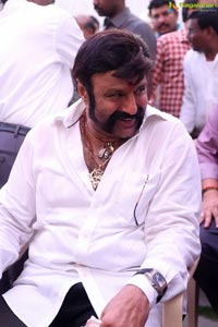 Nandamuri Balakrishna-Puri Jagannadh