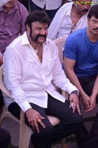 Nandamuri Balakrishna-Puri Jagannadh