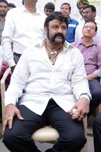 Nandamuri Balakrishna-Puri Jagannadh