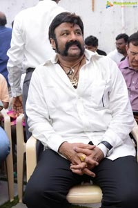 Nandamuri Balakrishna-Puri Jagannadh