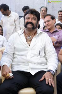 Nandamuri Balakrishna-Puri Jagannadh