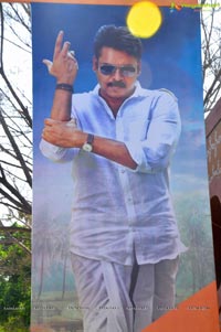 Katamarayudu