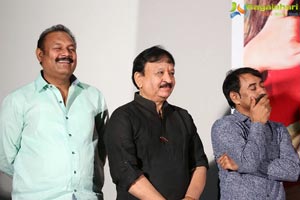 Premaleela Pelligola Audio Release