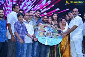 Shekaram Gari Abbayi Audio Release