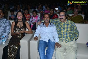 Shekaram Gari Abbayi Audio Release