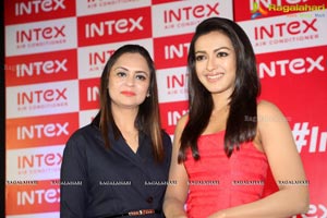 Catherine Tresa Intex