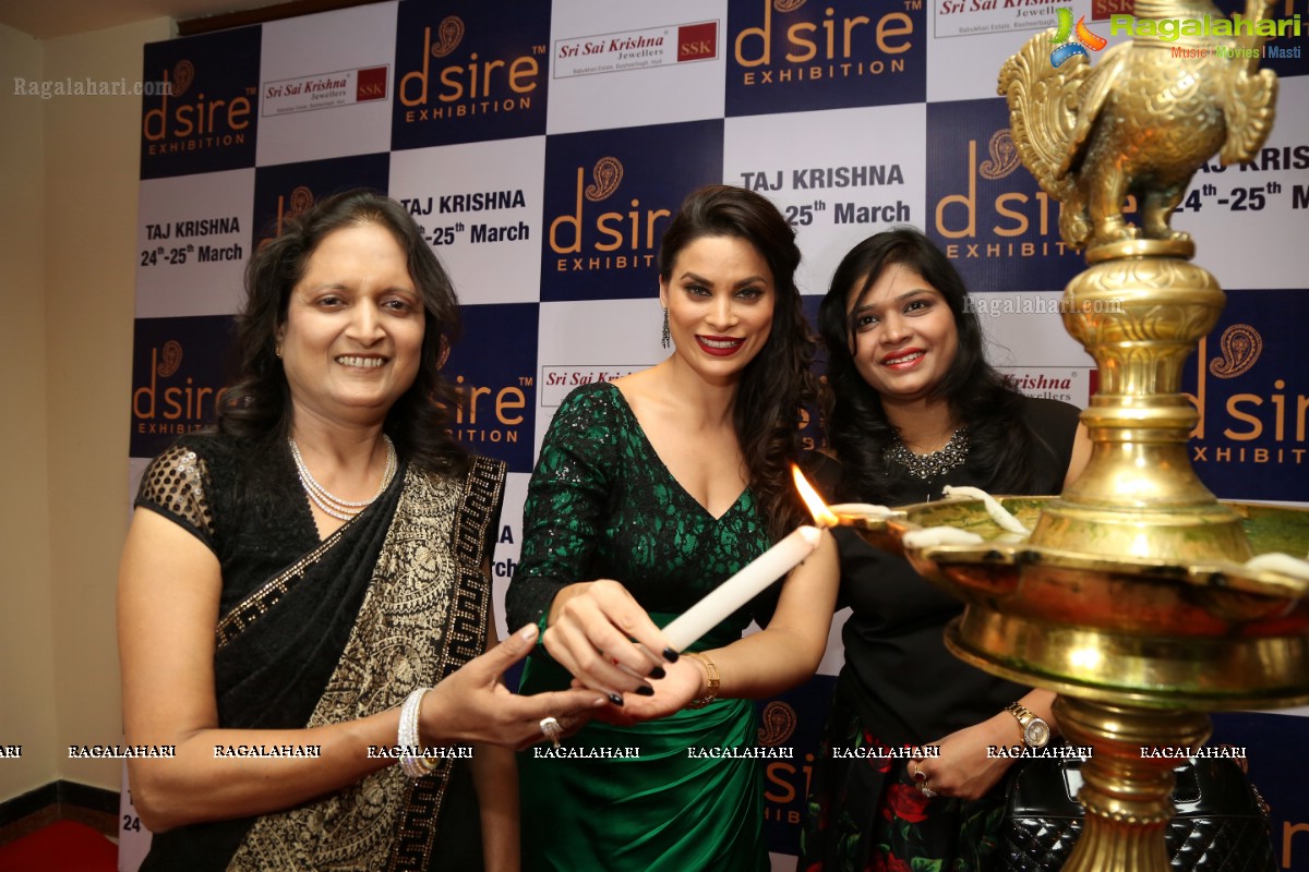 Bigg Boss Fame Marina Kuwar inaugurates D'sire Exhibition 2017 at Taj Krishna