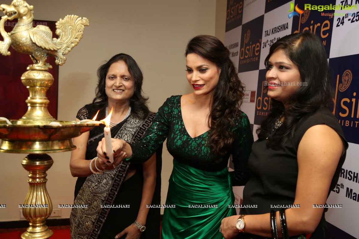 Bigg Boss Fame Marina Kuwar inaugurates D'sire Exhibition 2017 at Taj Krishna