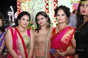 Disha-Shubham Wedding Ceremony