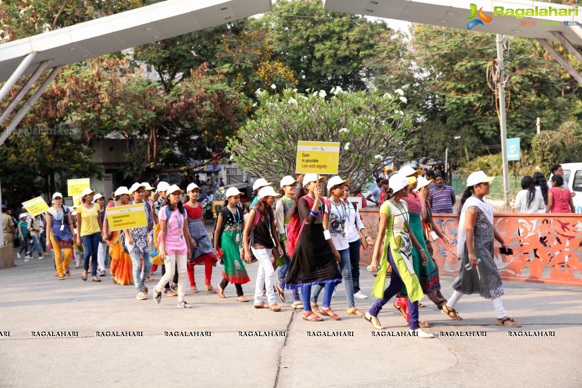 EndoMarch by Apollo Hospitals at Apollo Cradle, Hyderabad