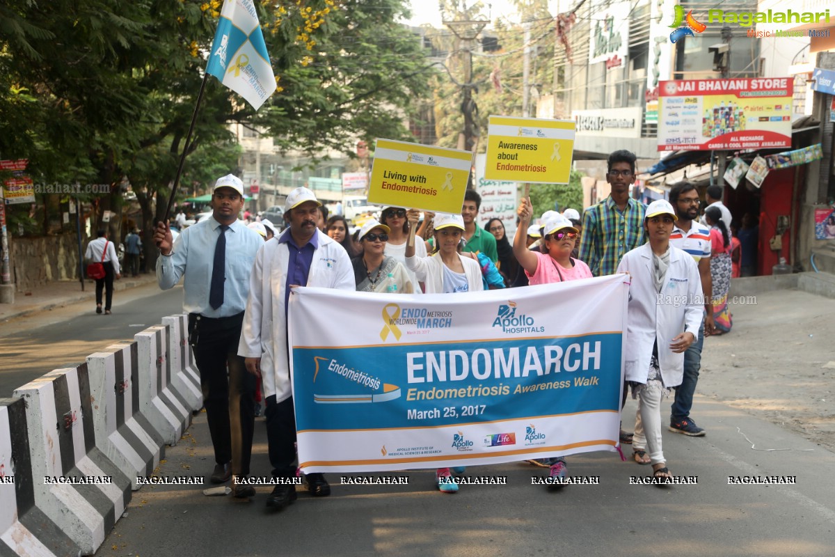 EndoMarch by Apollo Hospitals at Apollo Cradle, Hyderabad