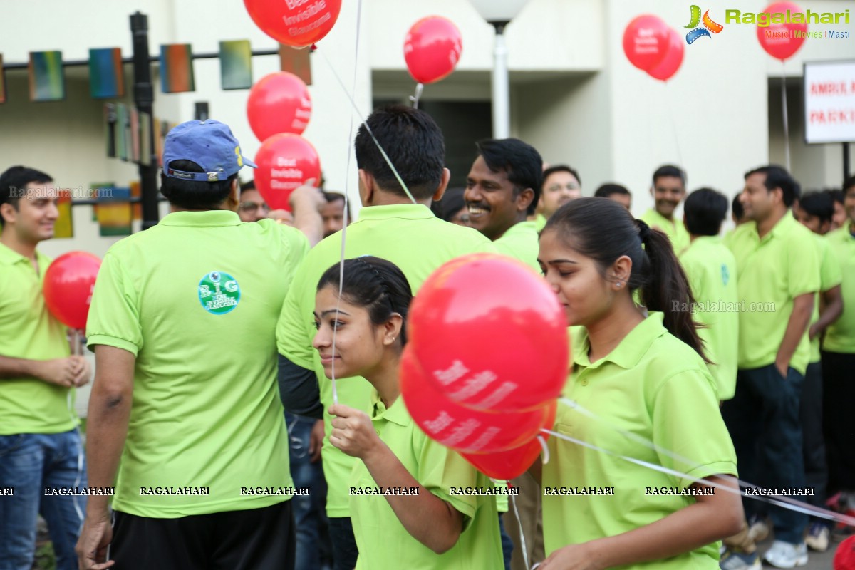 Glaucoma Awareness Walk 2017 by L V Prasad Eye Institute, Hyderabad