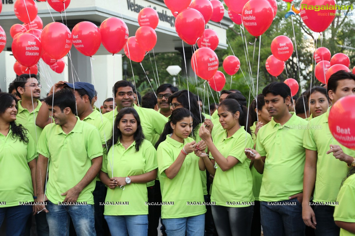 Glaucoma Awareness Walk 2017 by L V Prasad Eye Institute, Hyderabad